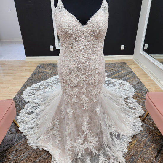 Sottero and Midgley Dublin Plus Size Wedding Dress